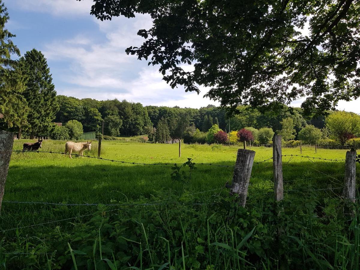 Gite En Lisiere De Foret Andaine Perrou エクステリア 写真
